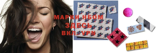 mdpv Инсар