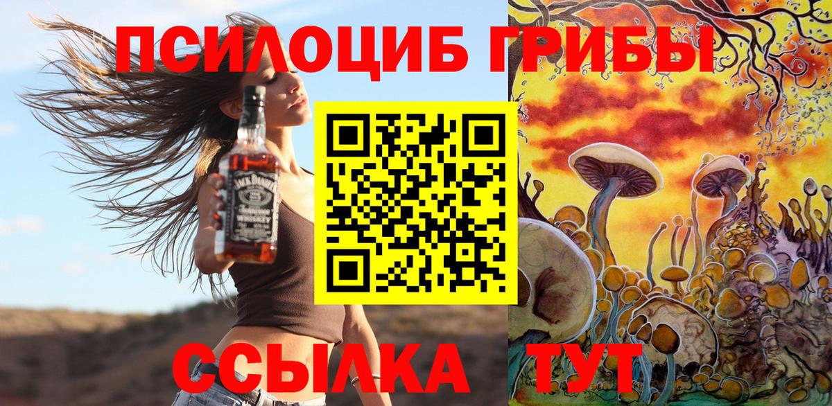 Галлюциногенные грибы Psilocybe  Вход с VPN  Чита 