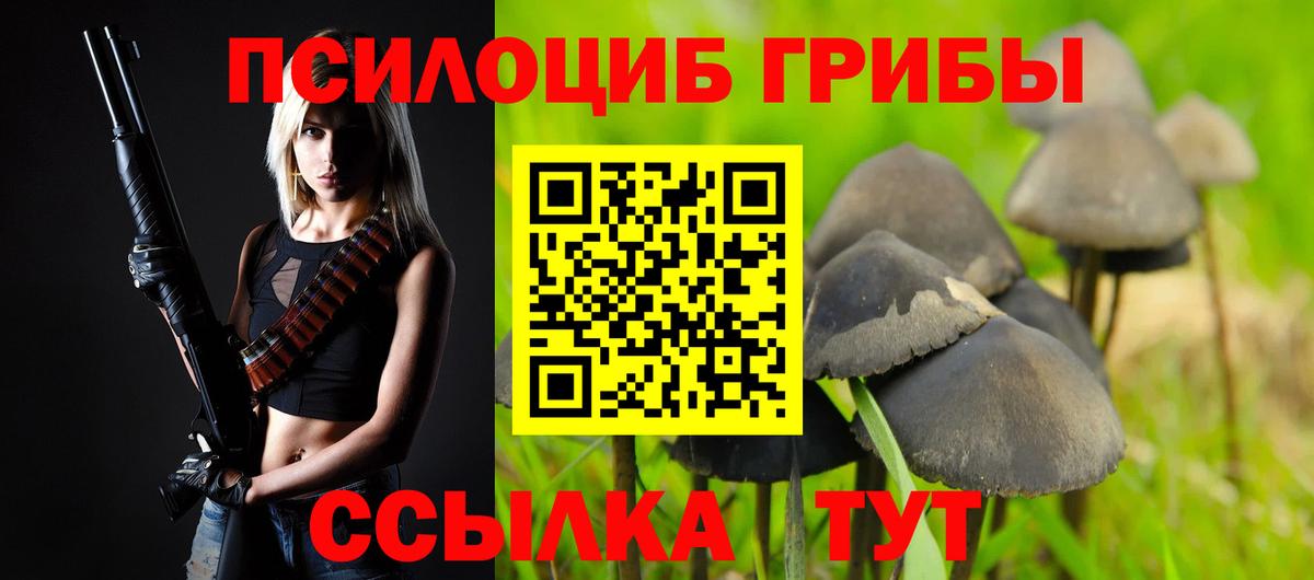 Галлюциногенные грибы Psilocybine cubensis Чита